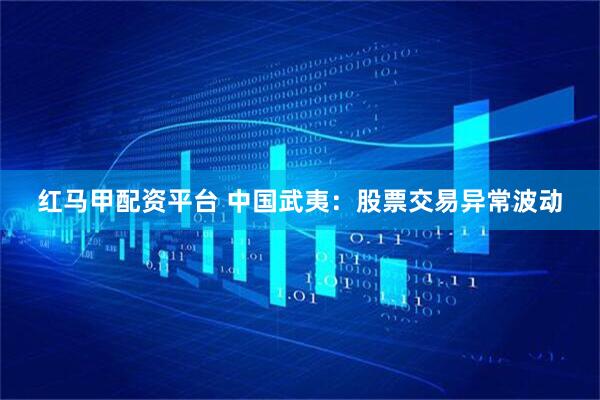 红马甲配资平台 中国武夷：股票交易异常波动