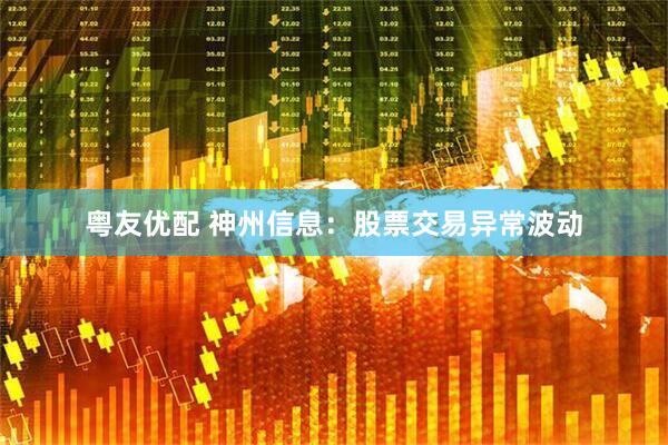 粤友优配 神州信息：股票交易异常波动