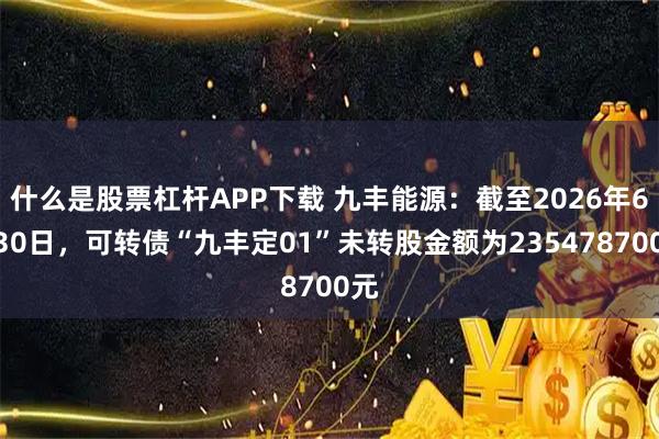 什么是股票杠杆APP下载 九丰能源：截至2026年6月30日，可转债“九丰定01”未转股金额为235478700元
